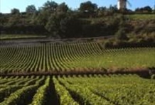 Burgundy Day Trip | Chablis - Vézelay - Bazoches